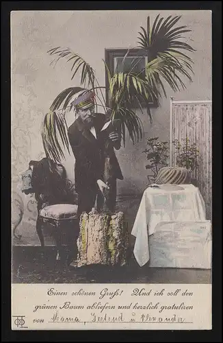 Foto AK Glückwunsch Palme, Drachenbaum Präsent Geschenk, CHEMNITZ 23.3.1903
