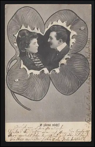 Foto AK Liebespaar Zeichnung Kleeblatt "O zürne nicht!" LAUKNEN/ INSE 15.12.05