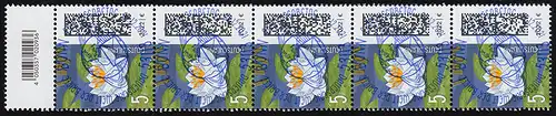 3644 Seebriefrose 5 Cent aus 200er, 5er-Streifen mit Codierfeld, ESSt Bonn