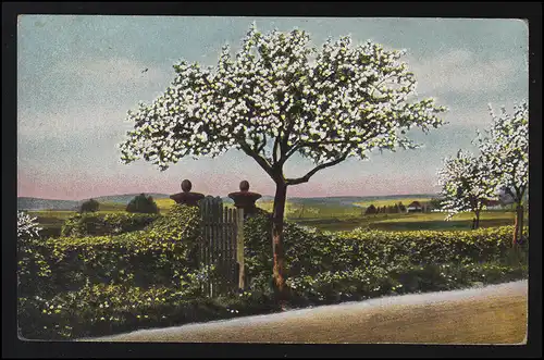 AK Allemagne Vieux pays, pommiers florissants, Hambourg, Elbe, ALTONA 10.6.1917