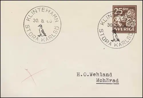Umschlag U 28 Löwe 25 Öre, SSt KLINTHAMN STORA KARLKSÖ Pinguin 30.8.1966