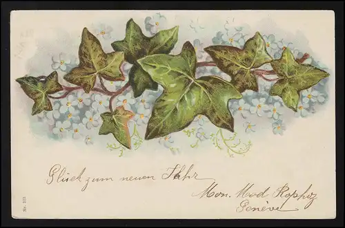AK Pflanzen Vergissmeinnicht Efeu Ranke, Neujahr GENEVE / SCHÖFTLAND 1.1.1902