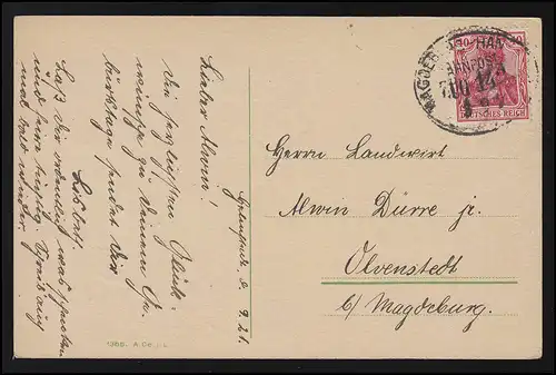 Félicitations pour l'anniversaire des fleurs lier Band Bahnpost MAGEDEBURG HANNOVER 1921