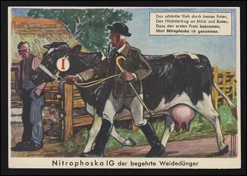 Publicité AK Bauer & Milchkuh Nitrophoska IG engrais de pâturage, vers, non utilisés