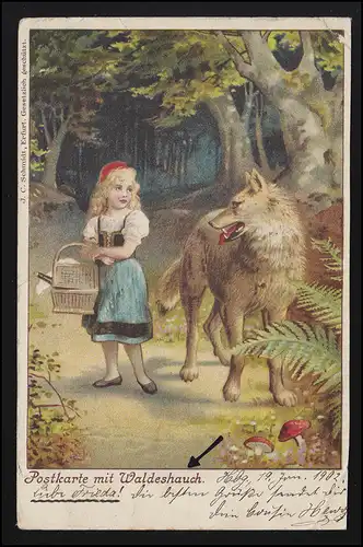 AK Märchen Rotkäppchen + der böse Wolf, Gebrüder Grimm, HAMBURG 20.1.1902