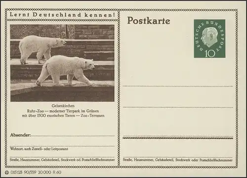 P042-90/559 Gelsenkirchen, Ruhr-Zoo: Eisbären **