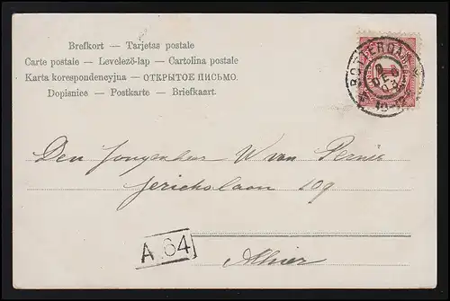 AK Filles Dirndl Zither Garçon salue avec chapeau de costumes, ROTTERDAM 9.12.03