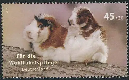 2630 Wofa Haustiere Meerschweinchen, 10 Einzelmarken, alle postfrisch **