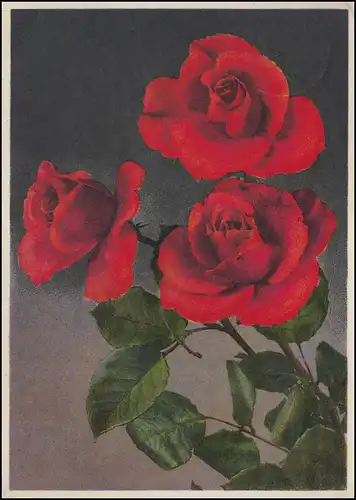 Landpost HUSSEN via ASBACH / Westerwald Land 1.10.43 sur AK Roses vers STRIEGAU