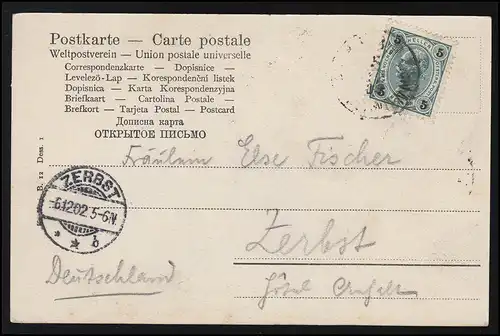 Frauen Foto AK Dame in langem Kleid am Feldrand mit Blumen ZERBST 6.12.1902