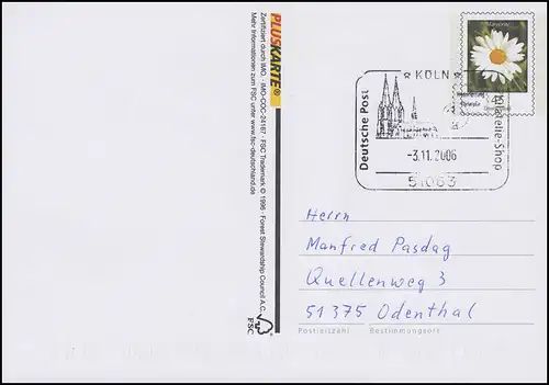 P 165II Blume Magerite, ohne Absendervordruck, breite Zungen, SSt Köln 3.11.2006