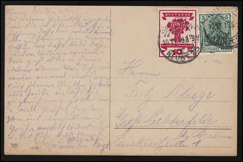 AK Geburtstagstisch Torte Tassen Blumen, DRESDEN-NEUSTADT 10.11.1919