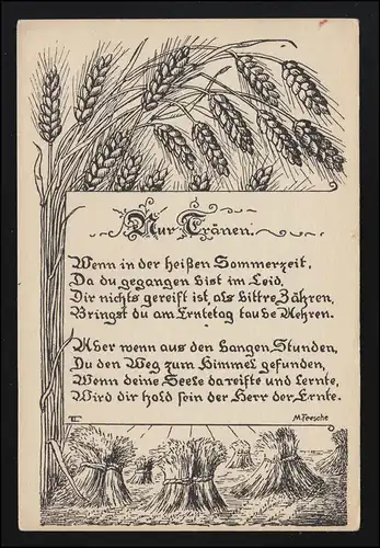 AK épis de cigares de céréales - Poème: océans moissonnés de Marie Feesche, non utilisés
