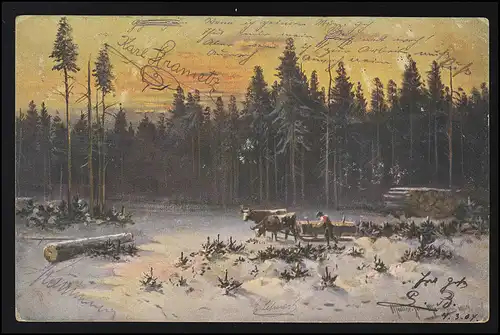 Tiere-AK Holztranport durch Rinder im Winter, WIEN 1.6.1904 n. LAUCHHEIM 2.6.04