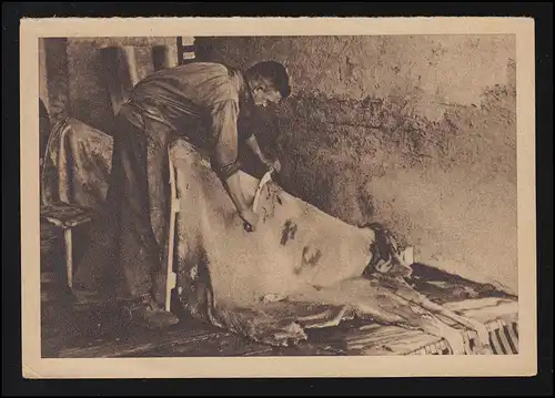 Tiere-AK Rohgerberei Hautreinigung von Fett und Haaren, 1933/34, ungebraucht