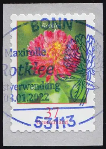 3663 Rotklee 37 Cent sk mit UNGERADER Nummer, EV-O Bonn 3.1.22