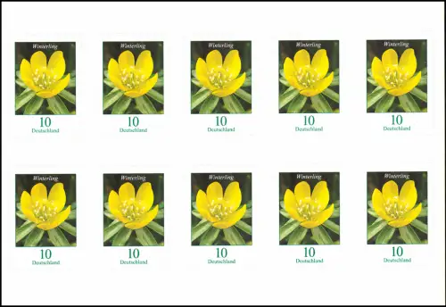 FB 81II Blume Winterling 10 Cent, Folienblatt mit 10x 3430II, postfrisch **