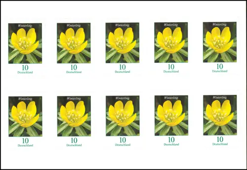 FB 81II Fleur Winterling 10 cents, feuille de 10x 3430II, frais de port **