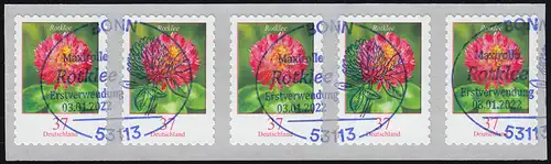 3663 Rotklee 37 Cent sk 5er-Streifen mit GERADER Nummer, EV-O Bonn 3.1.22