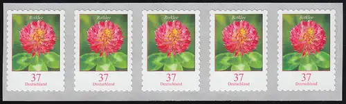 3663 Rotklee 37 Cent sk 5er-Streifen mit GERADER Nummer, **