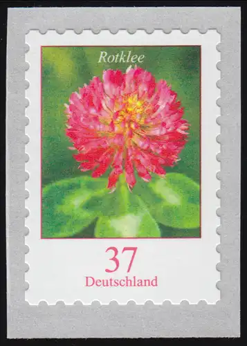 3663 Rotklee 37 Cent sk mit UNGERADER Nummer **