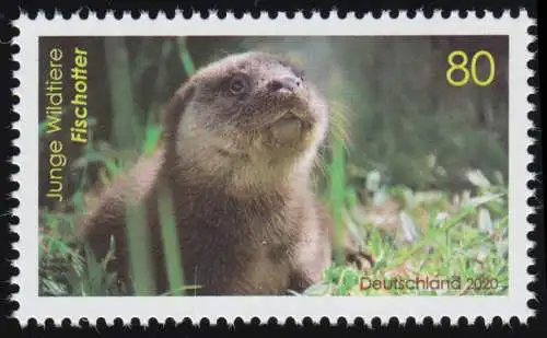 3562 Junge Wildtiere: Fischotter, ** postfrisch