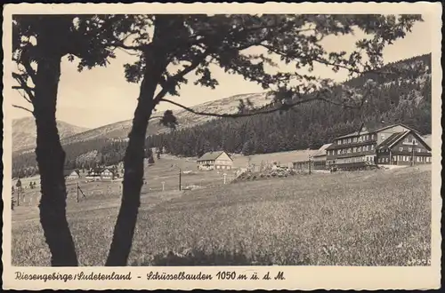 Bahnpost BRESLAU-DITTERSBACH-GÖRLITZ - 30.9.43 auf Feldpost-AK Riesengebirge