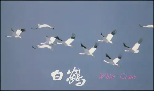 Carte commémorative Chine 2074-2076 Oiseaux: Grue de la nonne 1986, ESSt 22.5.86
