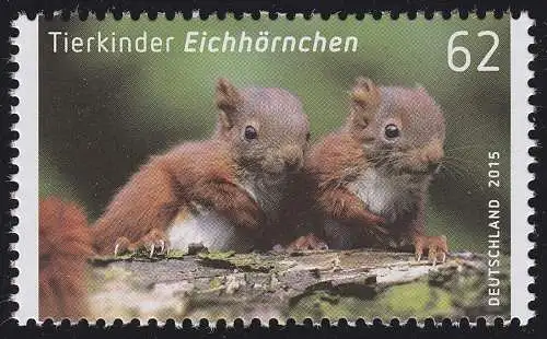3124 Tierkinder -  Eichhörnchen, nassklebend: 10 Einzelmarken, alle ** / MNH