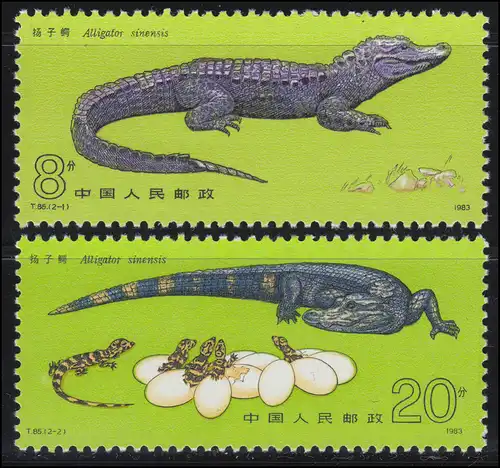 1871-1872 Chine - Alligator, frais de port ** / MNH