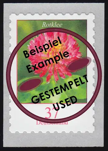 3663 Blume Rotklee 37 Cent, selbstklebend, O