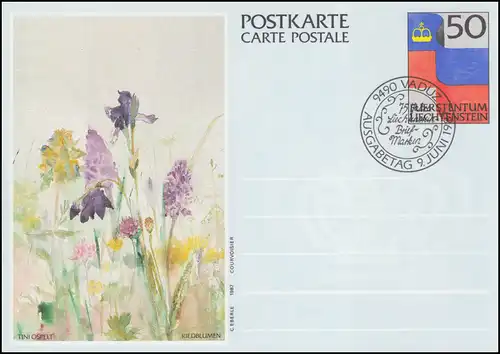 Liechtenstein Carte postale P 85 Drapeau: Riedflumen, ESSt VADUZ 9.6.1987
