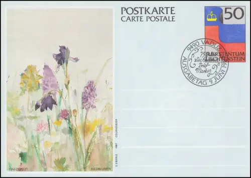 Liechtenstein Carte postale P 85 Drapeau: Riedflumen, ESSt VADUZ 9.6.1987