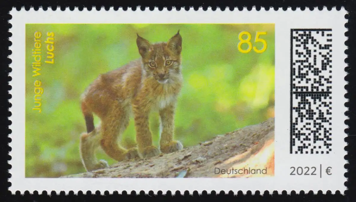 3682 Jeunes animaux sauvages: Lynx, ** frais