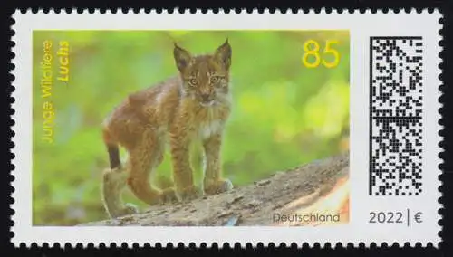 3682 Junge Wildtiere: Luchs, postfrisch **