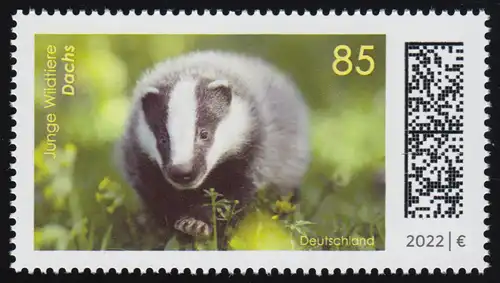 3681 Junge Wildtiere: Dachs, ** postfrisch