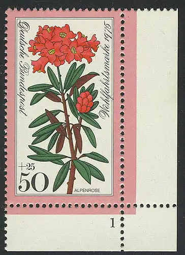 869 Blumen 50+25 Pf Alpenrose ** FN1