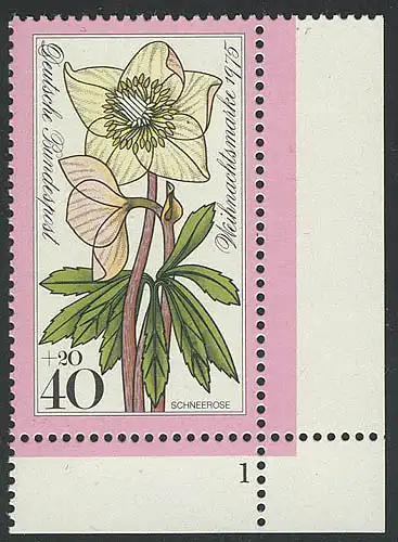 874 Noël 40+20 Pf Rose de neige ** FN1