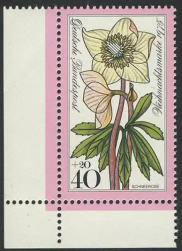 874 Noël 40+20 Pf Rose de neige ** coin et l.