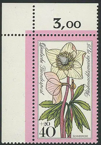 874 Noël 40+20 Pf Rose de neige ** coin o.l.