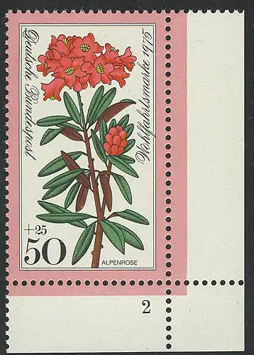 869 Blumen 50+25 Pf Alpenrose ** FN2