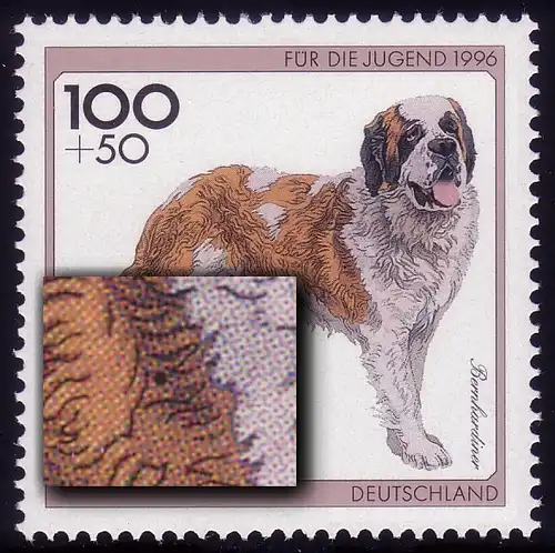 1838 Bernhardiner avec PLF noir tache dans le brun avant, champ 5, **