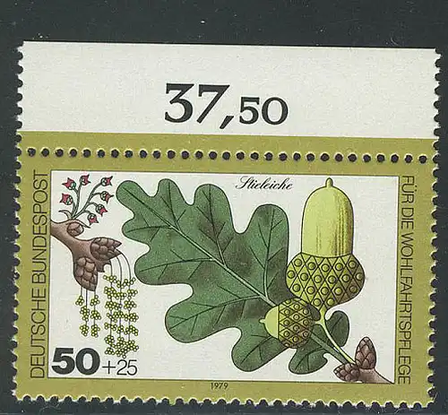 1025 arbres 50+25 chênes à tiges ** surface