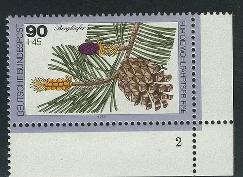 1027 arbres 90+45 pf pin de montagne ** FN2