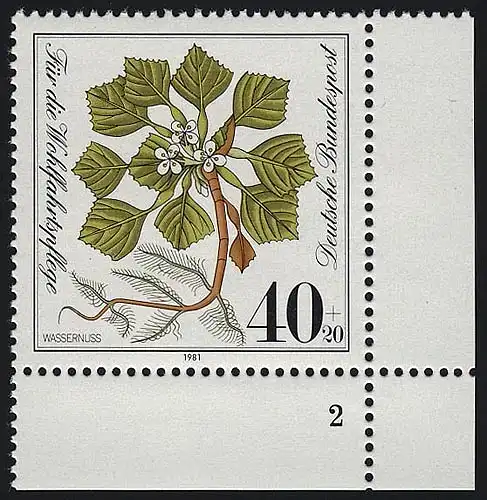 1108 Wohlfahrt Wassernuß 40+20 Pf ** FN2