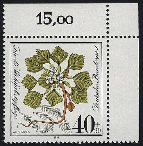 1108 Wohlfahrt Wassernuß 40+20 Pf ** Ecke o.r.