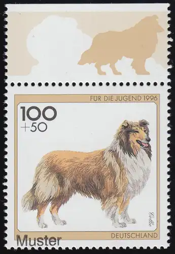 1839 Jeunes races de chien Collie, non plié, modèle imprimé