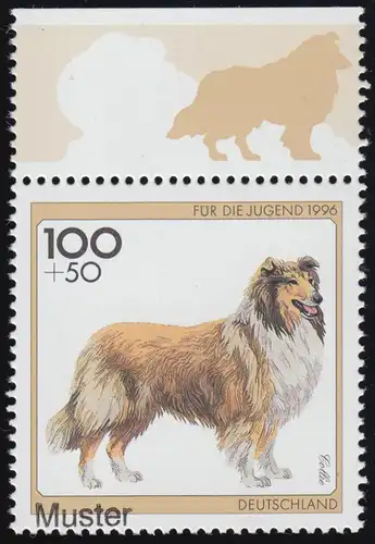 1839 Jugend Hunderassen Collie, Muster-Aufdruck