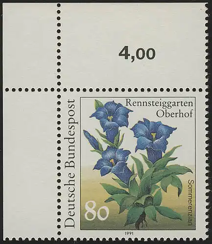 1507 Sommerenzian 80 Pf ** coin o.l.