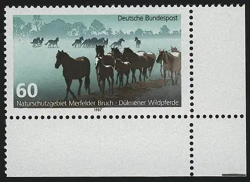 1328 Naturschutz Dülmener Wildpferde ** Ecke u.r.